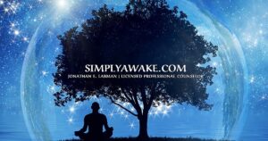 Simply Awake by Jon Labman