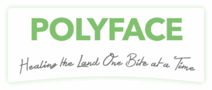 Polyfacefarm by Joel Salatin
